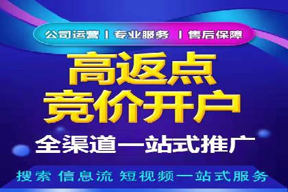 SEM竞价推广案例：电商行业成功案例解析